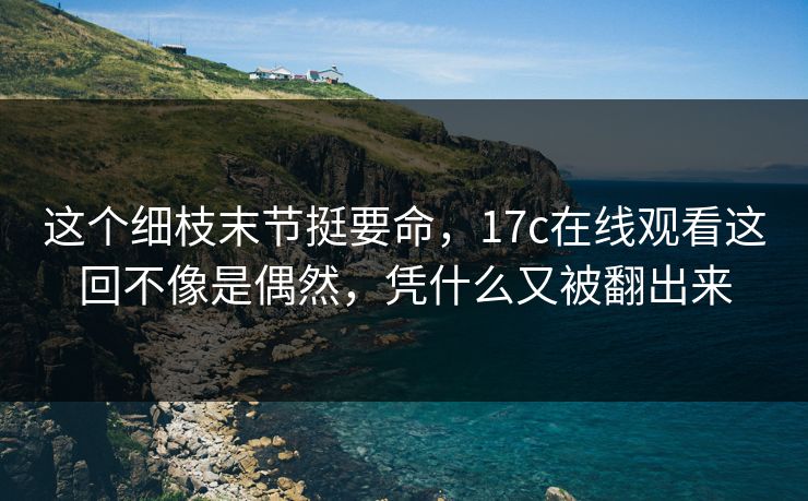 这个细枝末节挺要命，17c在线观看这回不像是偶然，凭什么又被翻出来