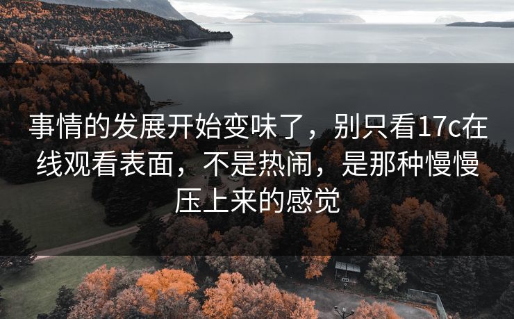 事情的发展开始变味了，别只看17c在线观看表面，不是热闹，是那种慢慢压上来的感觉