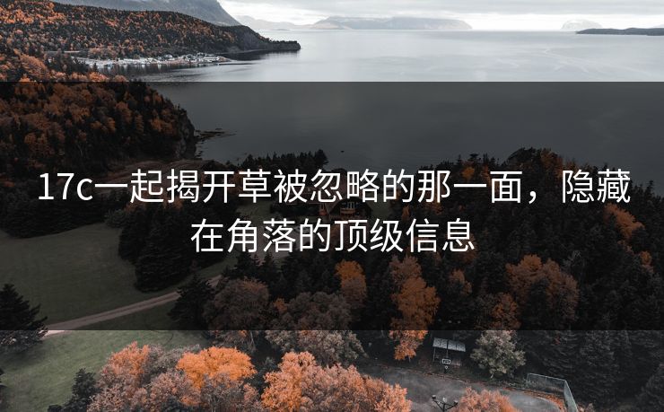 17c一起揭开草被忽略的那一面，隐藏在角落的顶级信息