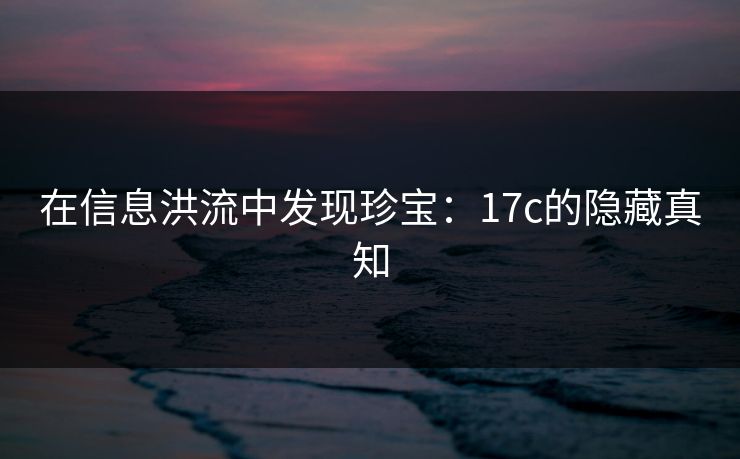 在信息洪流中发现珍宝：17c的隐藏真知