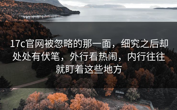 17c官网被忽略的那一面，细究之后却处处有伏笔，外行看热闹，内行往往就盯着这些地方